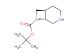 (1S,6R)-tert-butyl 3,8-diazabicyclo[4.2.0]octane-8-carboxylate