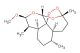 Artemether(Synonyms: Dihydroqinghaosu methyl ether; Dihydroartemisinin methyl ether; SM224)