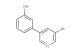3-(5-bromopyridin-3-yl)phenol