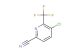5-chloro-6-(trifluoromethyl)picolinonitrile