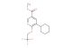 methyl 5-cyclohexyl-6-(2,2,2-trifluoroethoxy)nicotinate