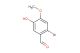 2-bromo-5-hydroxy-4-methoxybenzaldehyde