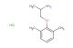 Mexiletine hydrochloride(Synonyms: KOE-1173 hydrochloride)