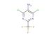 4,6-dichloro-2-(trifluoromethyl)pyrimidin-5-amine