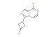 3-(8-chloroimidazo[1,5-a]pyrazin-3-yl)cyclobutanone
