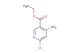 ethyl 4-amino-6-chloropyridine-3-carboxylate