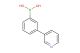 3-(pyridin-3-yl)phenylboronic acid