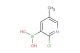 2-chloro-5-methylpyridine-3-boronic acid