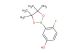 4-fluoro-3-(4,4,5,5-tetramethyl-1,3,2-dioxaborolan-2-yl)phenol