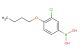 4-butoxy-3-chlorophenylboronic acid