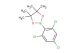 4,4,5,5-tetramethyl-2-(2,4,6-trichlorophenyl)-1,3,2-dioxaborolane