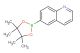 6-(4,4,5,5-tetramethyl-1,3,2-dioxaborolan-2-yl)quinoline