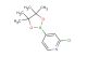 2-chloro-4-(4,4,5,5-tetramethyl-1,3,2-dioxaborolan-2-yl)pyridine