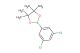 2-(3,5-dichlorophenyl)-4,4,5,5-tetramethyl-1,3,2-dioxaborolane