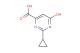 2-cyclopropyl-6-hydroxypyrimidine-4-carboxylic acid