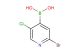 2-bromo-5-chloropyridine-4-boronic acid