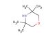 3,3,5,5-tetramethylmorpholine