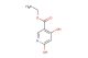 4,6-dihydroxy-nicotinic acid ethyl ester