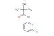 N-(6-chloro-pyridin-2-yl)-2,2-dimethyl-propionamide