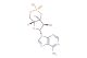 Cyclic AMP(Synonyms: Cyclic adenosine monophosphate; Adenosine cyclic 3', 5'-monophosphate; cAMP)