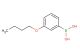 3-butoxybenzeneboronic acid