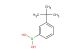 3-tert-butylbenzene boronic acid