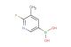 2-fluoro-3-methyl-5-pyridineboronic acid