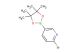 2-bromo-5-(4,4,5,5-tetramethyl-1,3,2-dioxaborolan-2-yl)pyridine