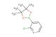 2-chloro-3-(4,4,5,5-tetramethyl-1,3,2-dioxaborolan-2-yl)pyridine