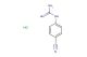 N-(4-cyanophenyl)guanidine hydrochloride