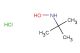 N-tert-butylhydroxylamine hydrochloride