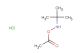 tert-butylamino acetate hydrochloride