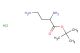 tert-butyl 2,4-diaminobutanoate hydrochloride