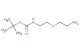 Amino-PEG2-NH-Boc