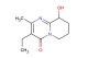 3-ethyl-9-hydroxy-2-methyl-6,7,8,9-tetrahydropyrido[1,2-a]pyrimidin-4-one