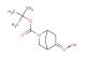tert-butyl 5-(hydroxyimino)-2-azabicyclo[2.2.1]heptane-2-carboxylate
