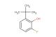 2-tert-butyl-6-fluorophenol