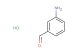 3-aminobenzaldehyde hydrochloride