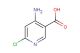 4-amino-6-chloronicotinic acid