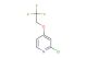 2-chloro-4-(2,2,2-trifluoroethoxy)pyridine