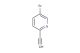 5-bromo-2-ethynylpyridine