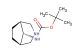 tert-butyl (1R,5S,8s)-3-azabicyclo[3.2.1]octan-8-ylcarbamate