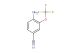 4-amino-3-(trifluoromethoxy)benzonitrile