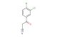 3-(3,4-dichlorophenyl)-3-oxopropanenitrile