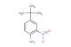 2-nitro-4-tert-butylaniline
