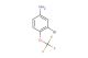 3-bromo-4-(trifluoromethoxy)aniline