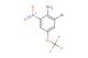 2-bromo-6-nitro-4-(trifluoromethoxy)aniline