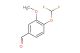 4-difluoromethoxy-3-methoxybenzaldehyde