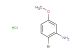 2-bromo-5-methoxy-phenylamine hydrochloride
