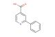 2-phenylisonicotinic acid
